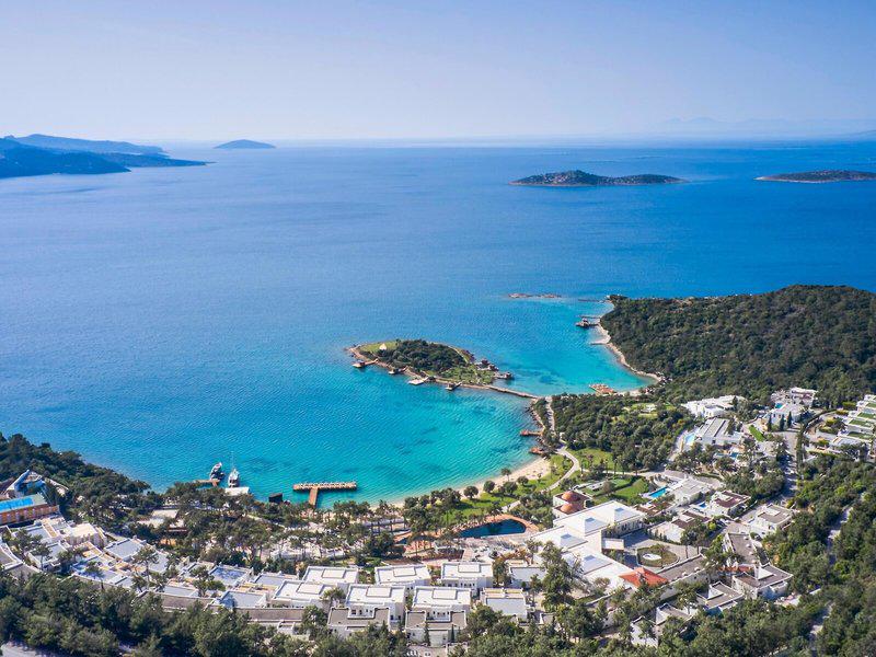 6A31C575B3D8FEACE0D8C1217F50EF8D