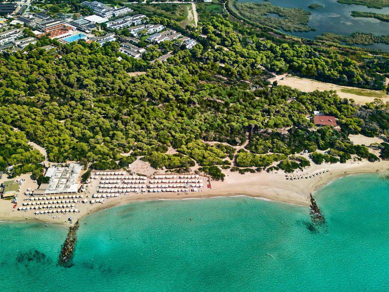 A268693E5A75BB2FA069E86C14A3A004