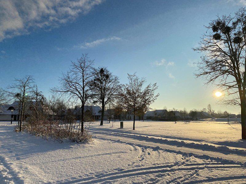 EFEB67FD03845731A98AD1407C7CB182