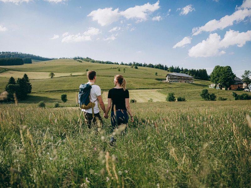 4C31DA80E9B10D8D4B6E2DBD4E7BD16C