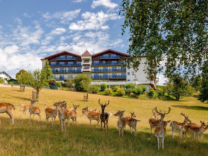 63513674A88C8630BB0FA2AF0F27C162