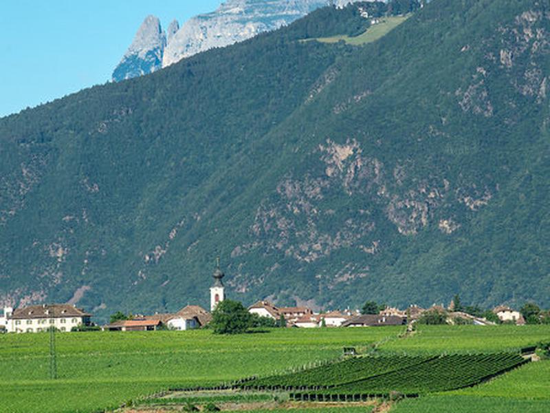 4715C3A00E6F022F104BDE8630AFD393