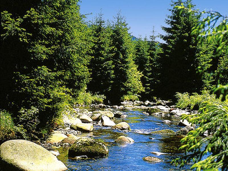 FD498127F61F6658F1B03918DA22AF59