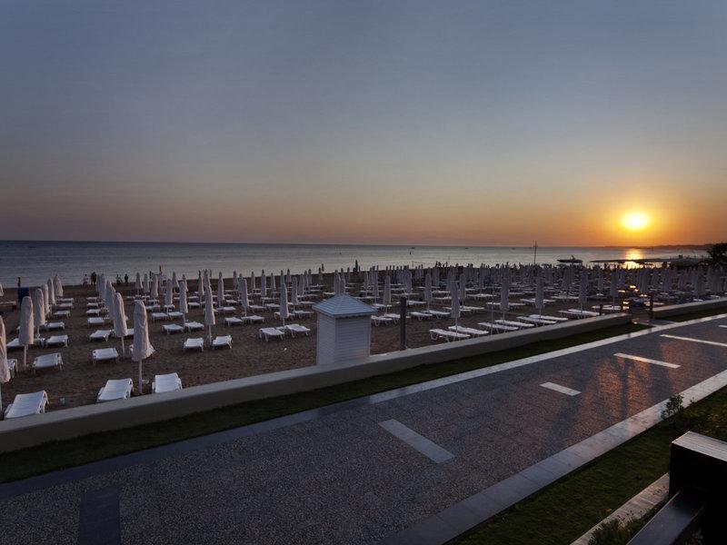 88812B95FC876FC9D8542F7CFE116241