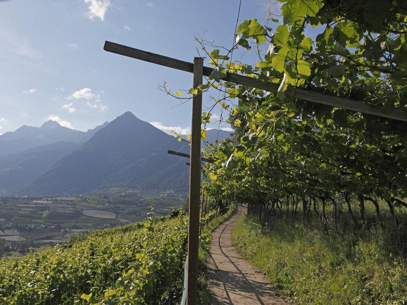 1FD25FA457EEB5F923E6F22900FD61E5