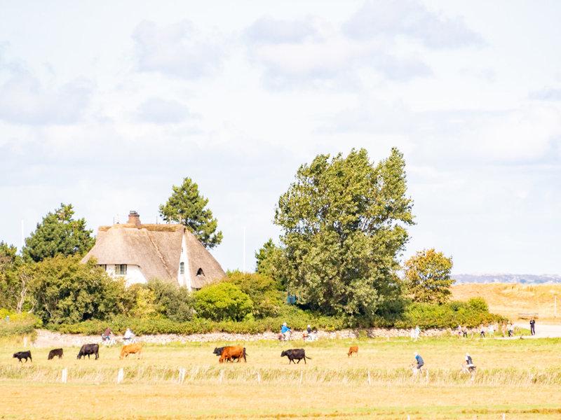 B1DCCAF76EB0C250FBEA9380AFDE9C1B