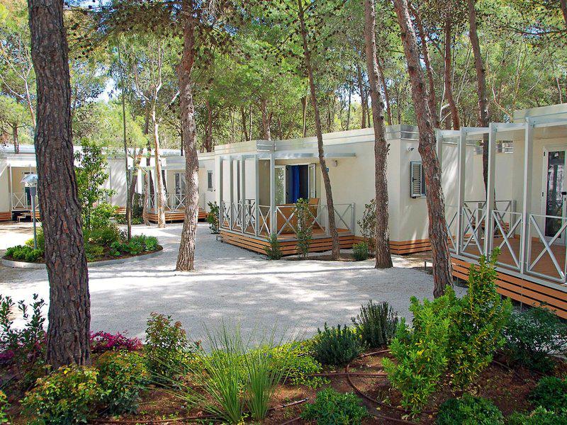 DA387A358267BE78FDB87218E8F3B213