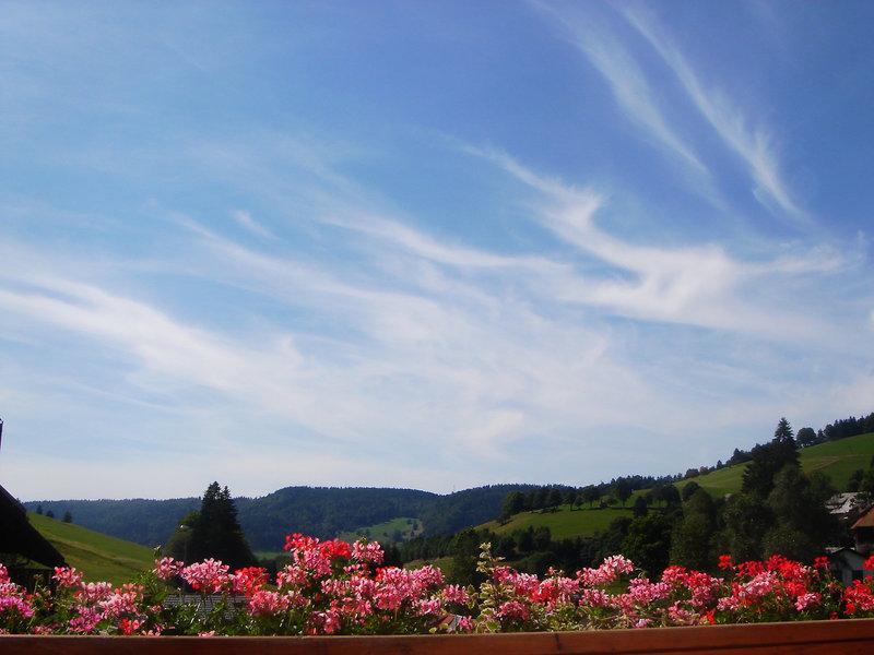 DC4387B73703649FD864F143F79BC3E2