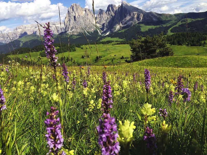 B254B327A14C43D6FED282744AC20C47