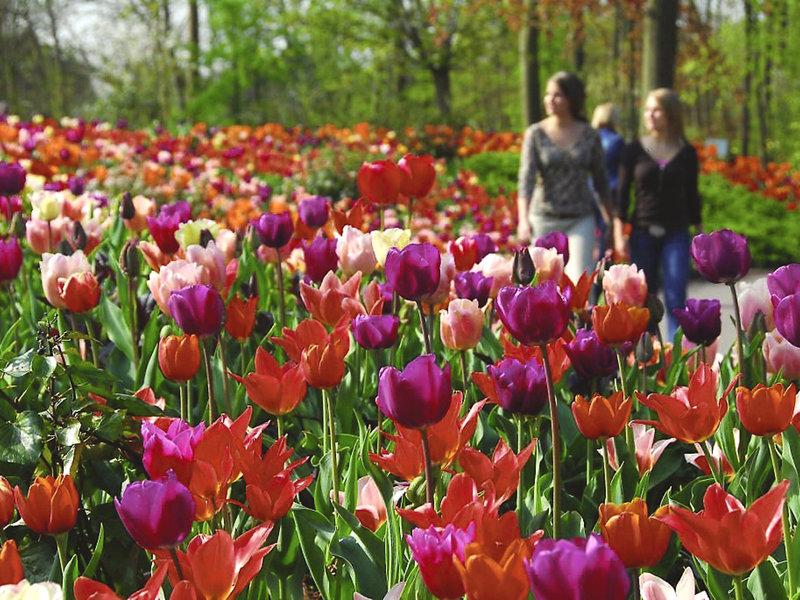 D42B2453364A5573C8FAB8113168AE76