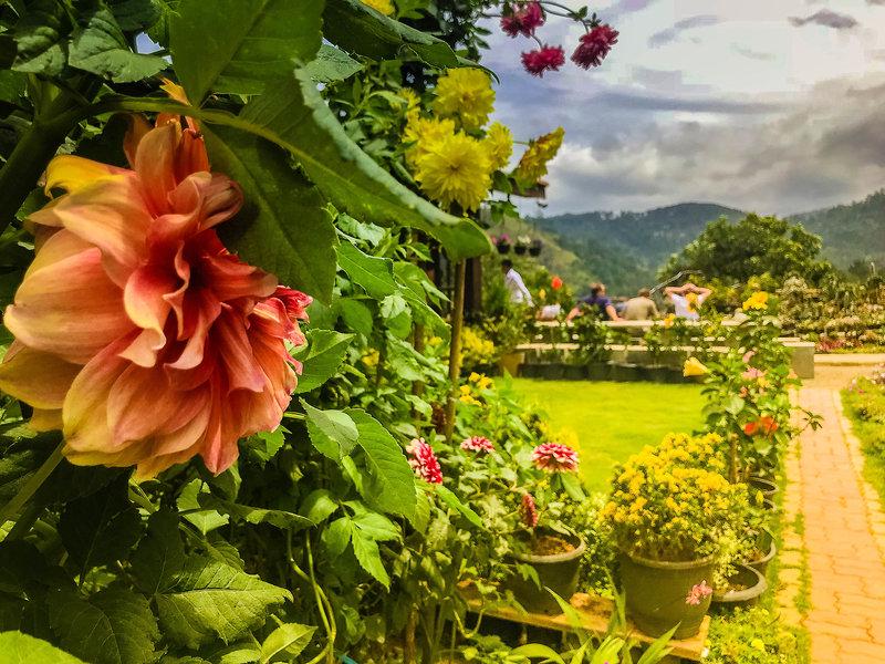 6010DC73A4B2B17C99602FF21E5D439C