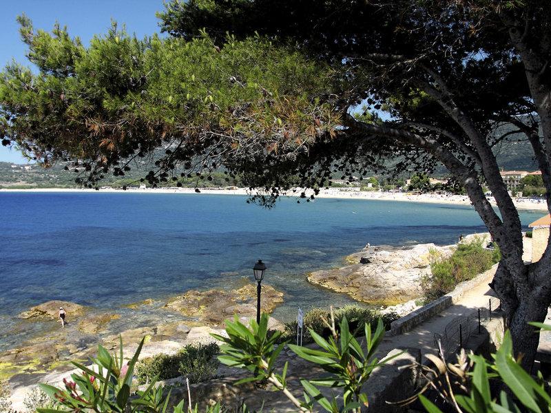 62276D5D441A5F98D1670155D186486A