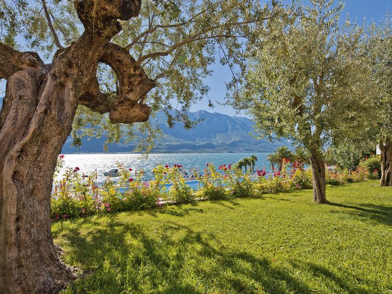 B6FEA804037225DF0AB4D84325D3B407