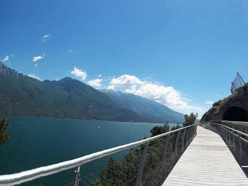 E896A6D0EFC5A8518063D670377CBD51