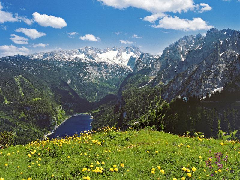 98E72BDE76E2522F62984E36AB8259CB