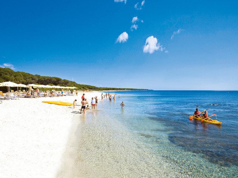 8BF02CFAB0EA4DBD64A12C4BB5678EE3