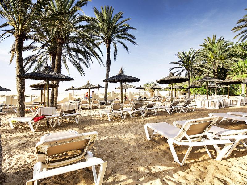 1A0FB97FB859E24A2765FCE9269393AA