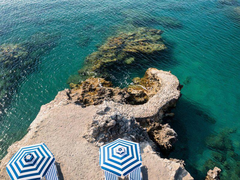 237342EB761A4BAC0709888981E20688