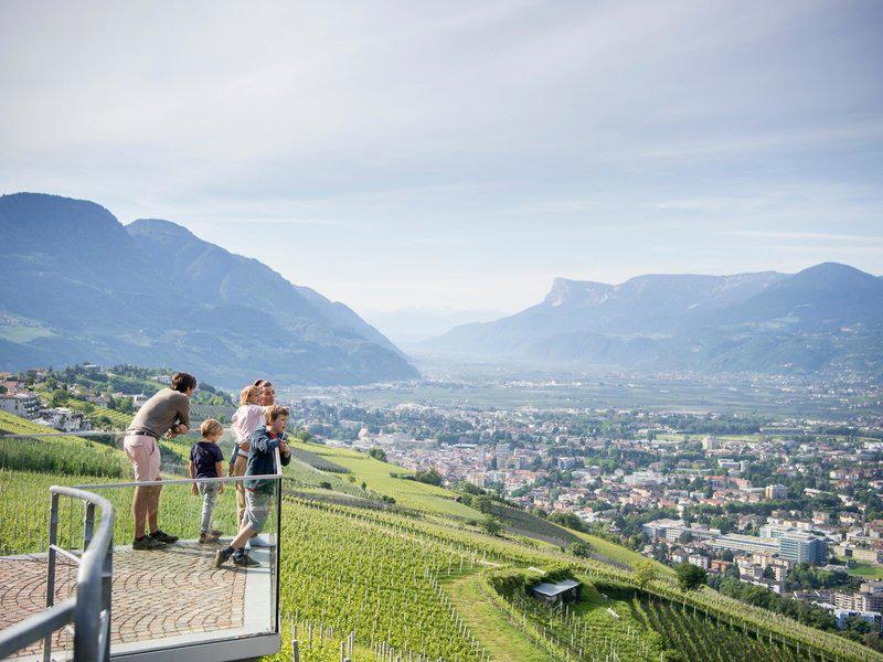 11EFA9525978D3056A3D1FD487EAE813