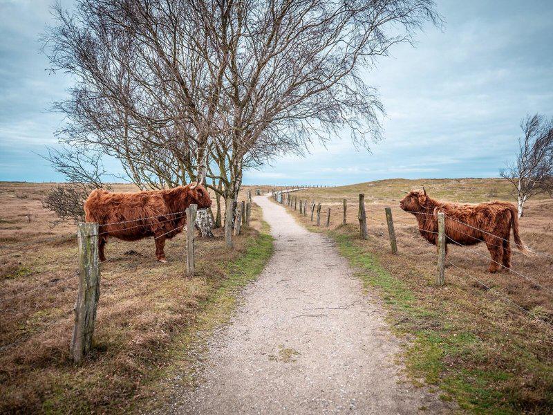 78254800180802FBEEAE241EBB3AC690