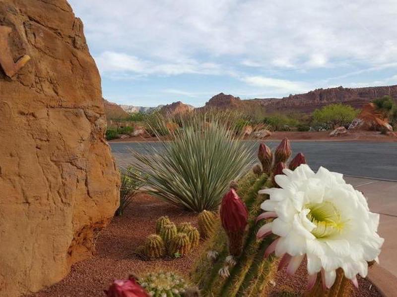 8AD1992F7B6D85D9047AD08C25CE5C41