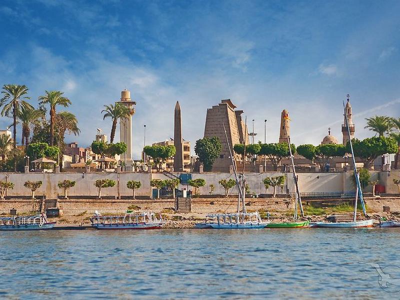 AA0BD5A41C9CCC4095124C09E754811C