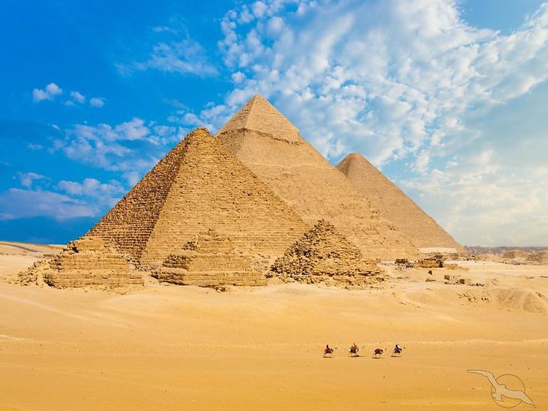 5581883712DF87DA687B5C74FF2AA6EA