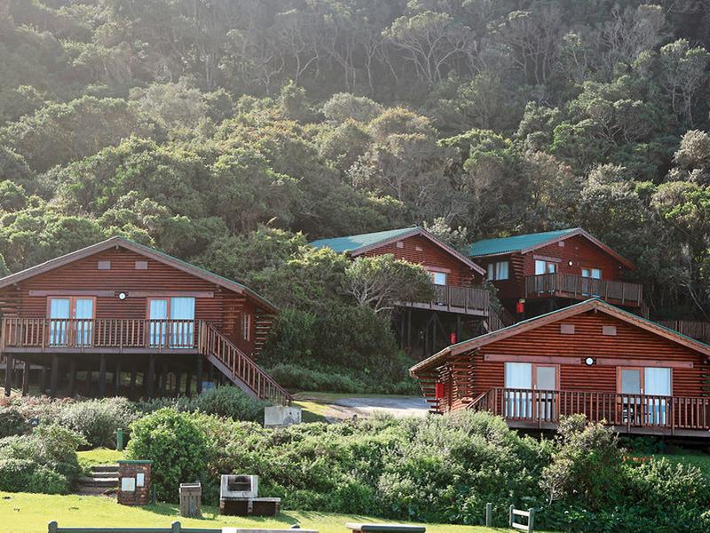 A0F8946AB4022F8A2B194A77685C78EC