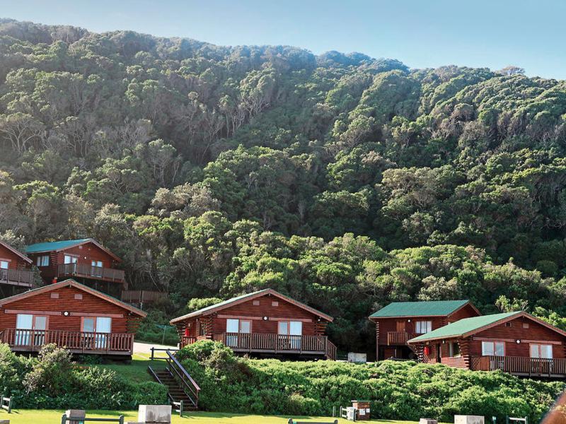 DFF72545DDCE06EAAB58D9B6FEDA7A75