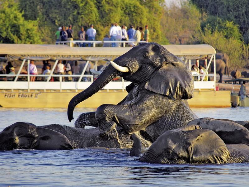 3C46F7079894F42E228ED1249107EBBF