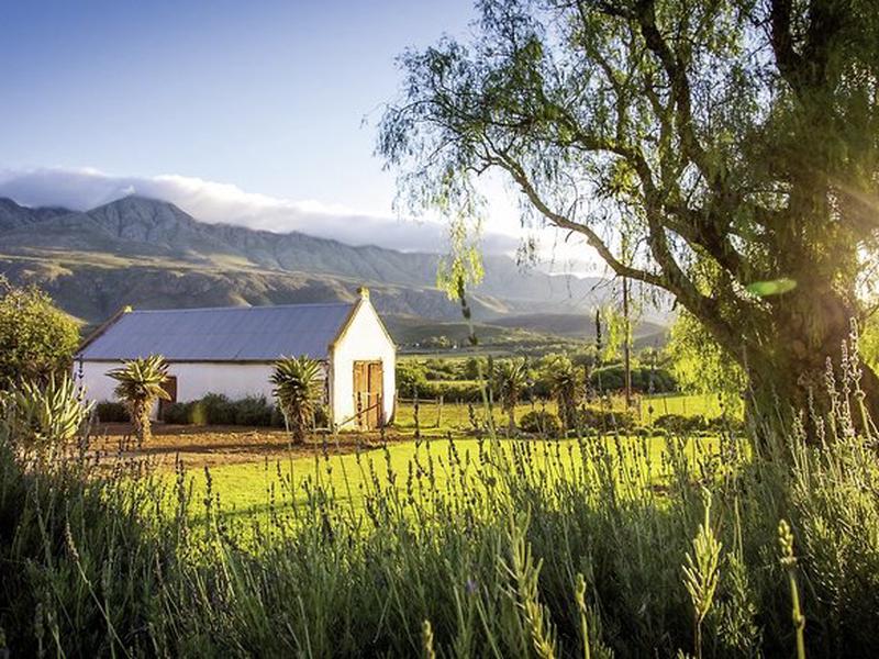 5ADE8AA2345698228CB42FD57776FD89