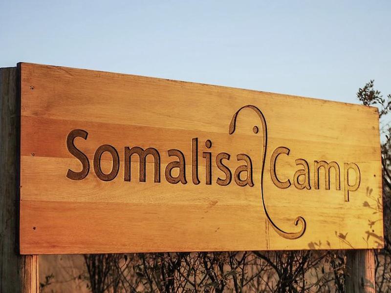 E66C7AA6A8837E5D1C498DF69484535E