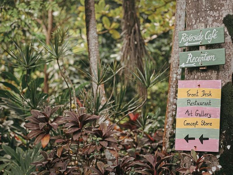 FD07A8CEC9E778D78FF387E068C1E329