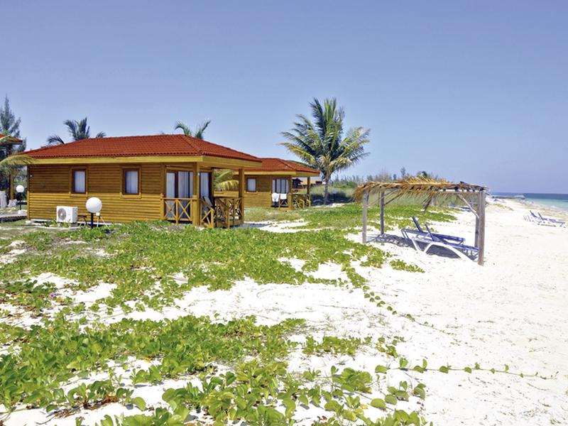 5E8C48F68D956A5BFDD0F2F748352FBF