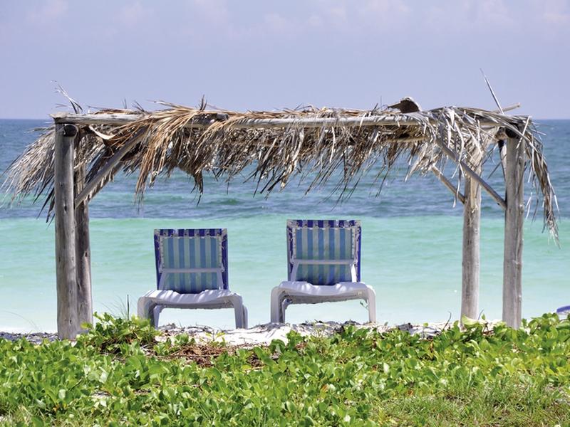 77EC28EB005A4666543919758B45F9ED