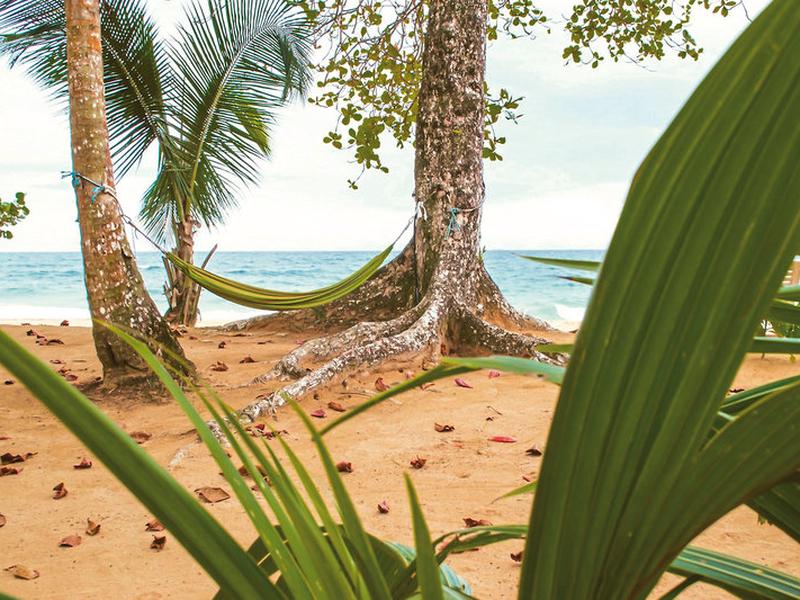 4188F7CD34A80F7A54C0FBAABBF631E4