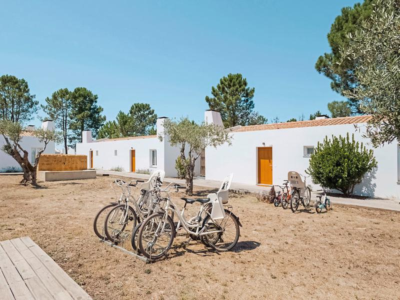 CCBD383387BEED250D73370B84752699