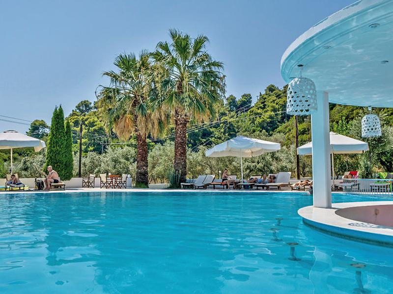 Belvedere Dolphin