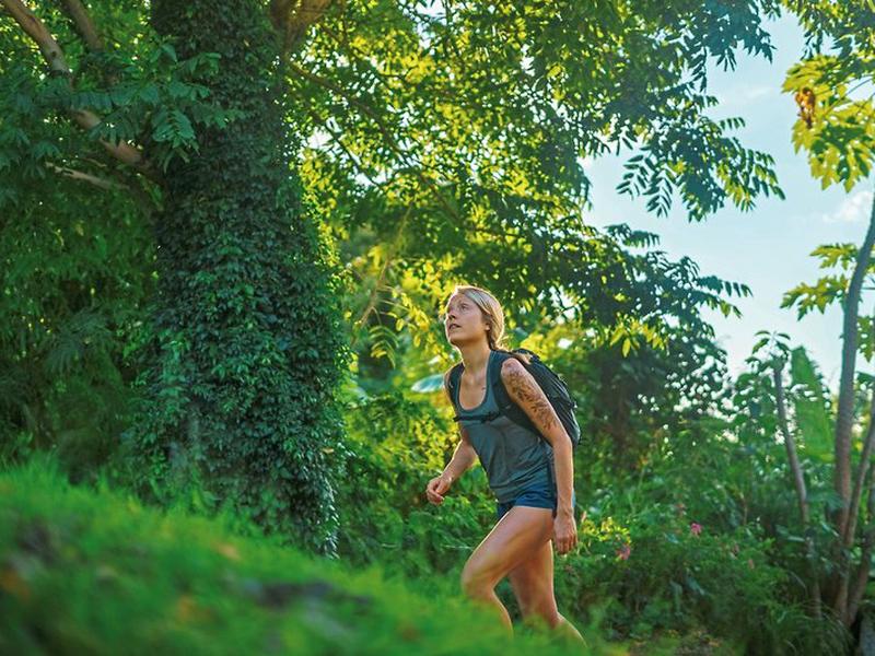 C53B6A1DCD412D61E9F4F04782EA88EC