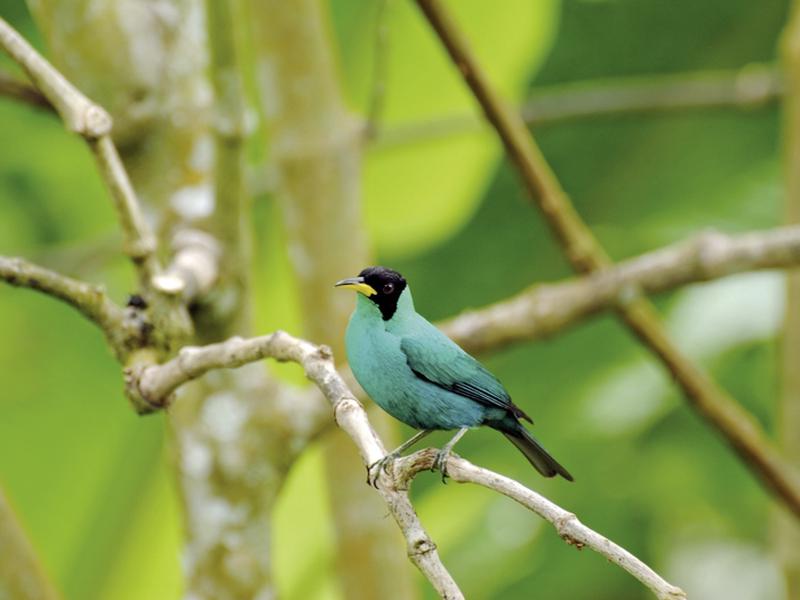 62881F6BC6A10C058709720FBA92159A