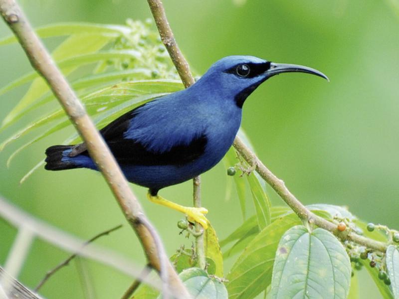 BBF1CC42E277D9A47BDCCB1FEF655F0F