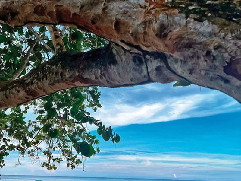 7CB9F9836C13663EFD1FF5E406410F4C