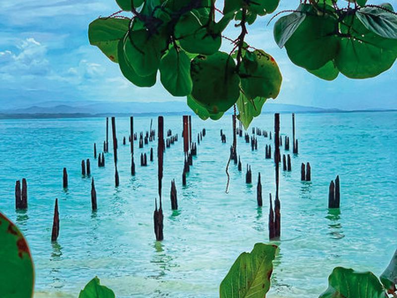 E178E69C69E1C9EECE42B55C8D9C9C79