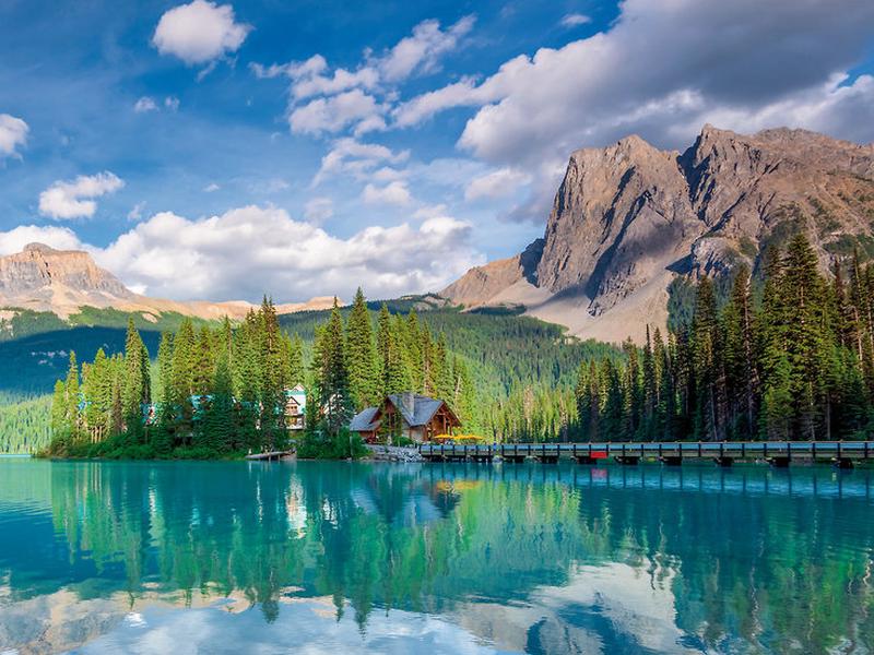 5346EAFCAF949BE9DEE08D4EEEDA57B3