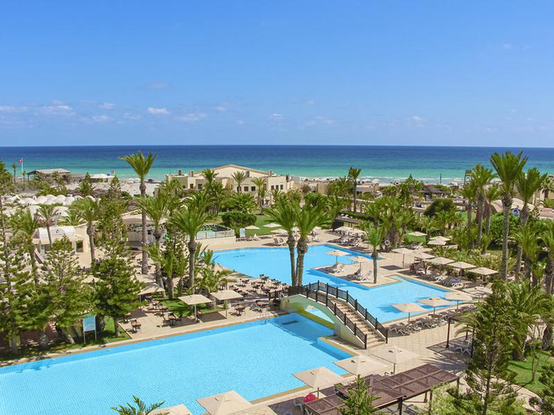 07A1A2317EEEF73E8DDC228C0A89ED72