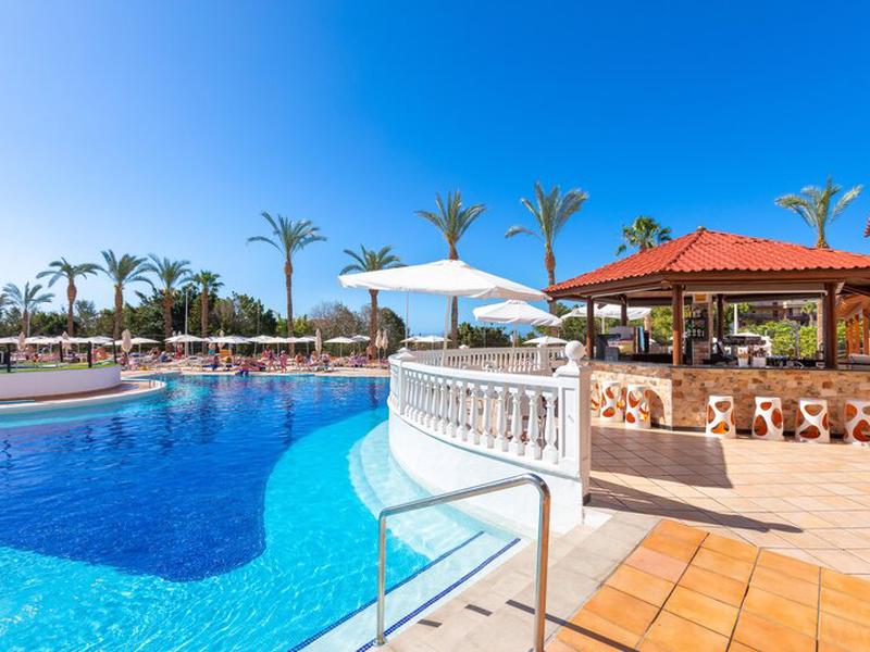 D6BF8680CFCAF3FC46694A3DC4C4986B