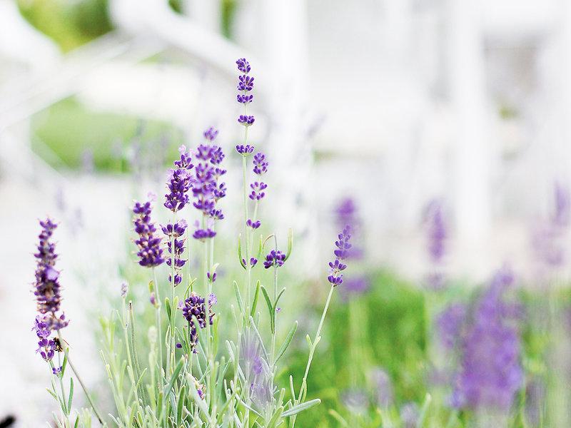 0B08C87D71FCE4DAB39B35A413DA3132