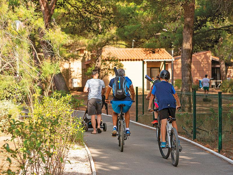 1FD9659B44732969079F5ED81EB0D53D