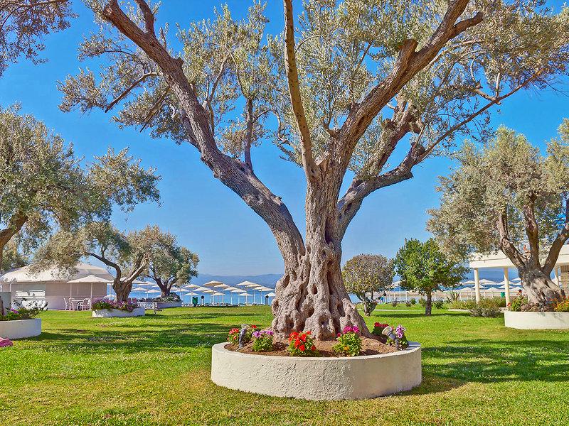 9DE11D1255C723B8118E30F0C27577A1