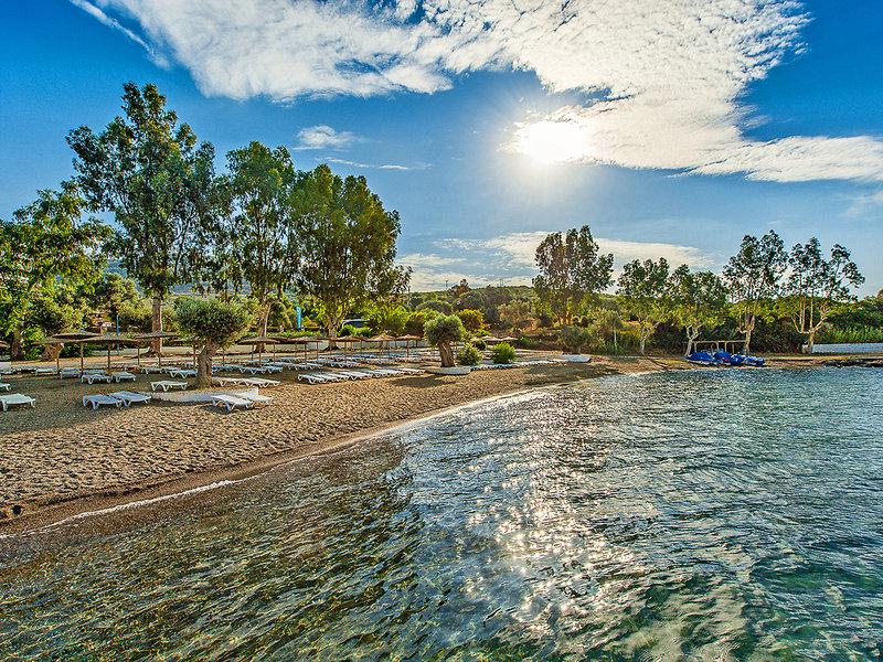 786AB4A24C722C7BD5282369B7C93B61